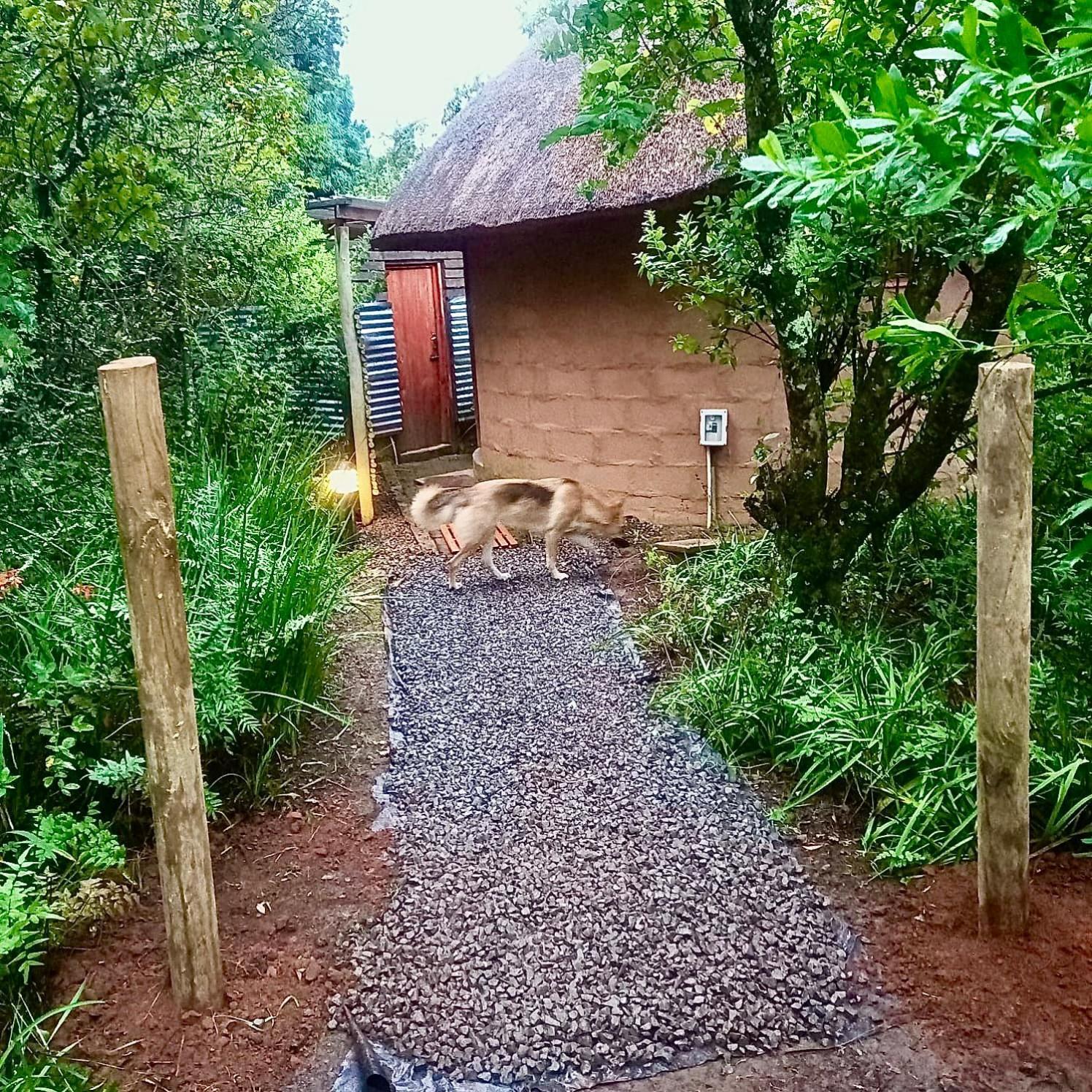 Drakensberg Inkosana Lodge Champagne Valley Luaran gambar
