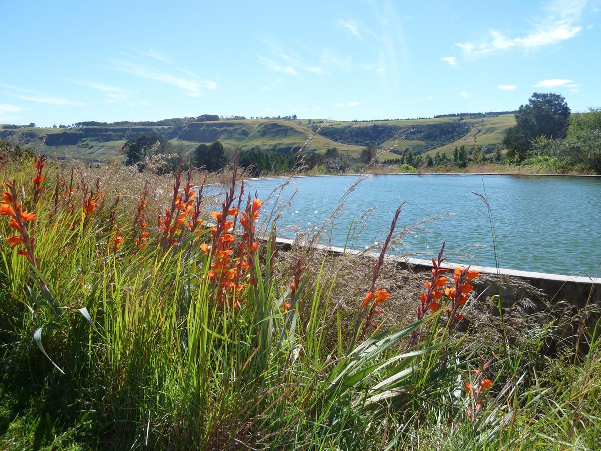 Drakensberg Inkosana Lodge Champagne Valley Luaran gambar
