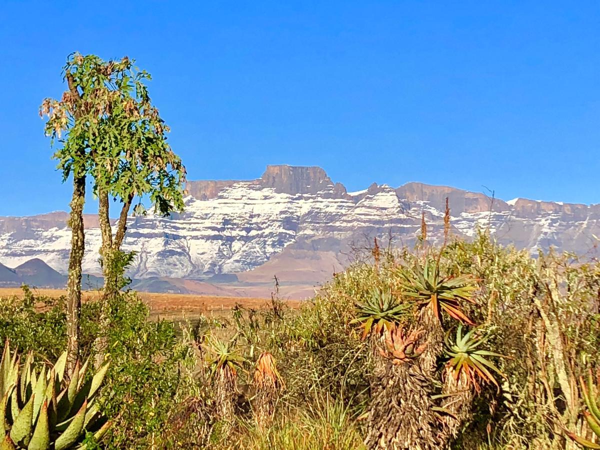 Drakensberg Inkosana Lodge Champagne Valley Luaran gambar